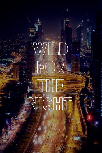  de Filme Noite Selvagem (2016)