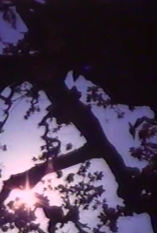 Poster 1 de Curta Light Point (1996)