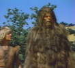 Outlaw Bigfoot