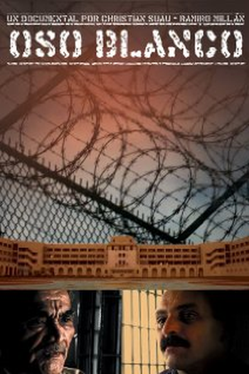 Poster de Filme Oso Blanco (2008)