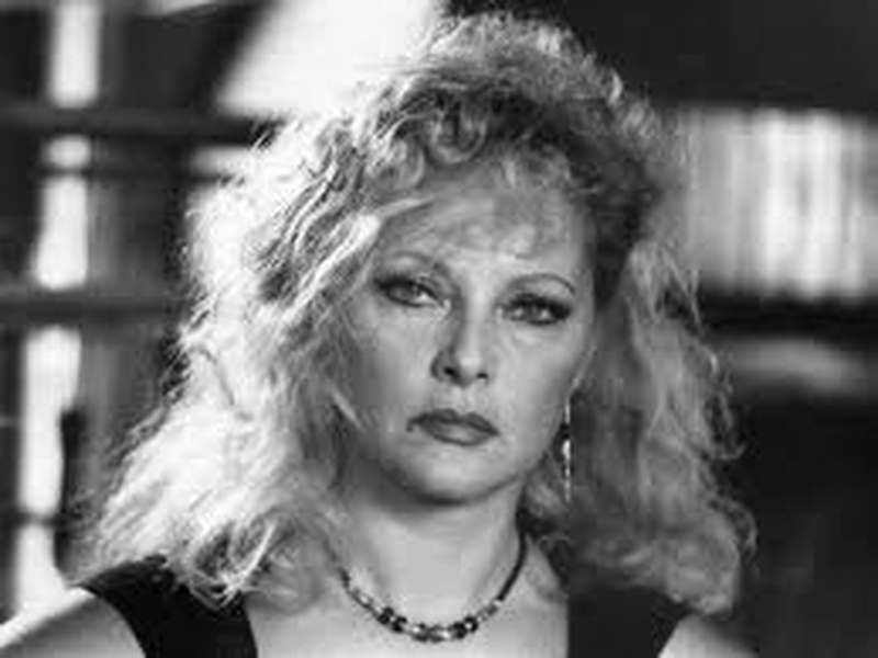 Foto 10 de A Cigarra