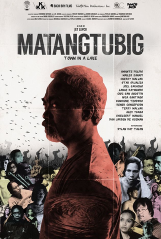 Poster 1 de Filme Town in a Lake (2015)