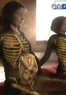 Viagem Fantástica Do Corpo Humano (Viagem Fantástica Do Corpo Humano)