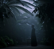Time and Night