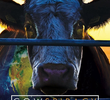 A Conspiração da Vaca: O Segredo da Sustentabilidade