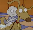 The Dog Broomer