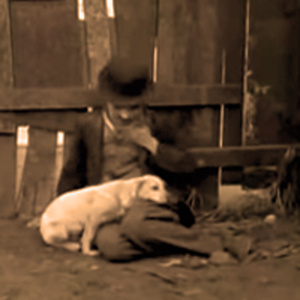 Foto de perfil de Barbam