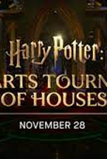 Harry Potter: O Campeonato das Casas de Hogwarts - Poster / Capa / Cartaz - Oficial 2