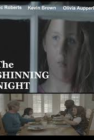 Poster 1 de Filme This Shining Night (2012)