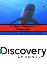 O Guia Completo: Tubarões e Baleias (The Ultimate Guide: Sharks and Whales)