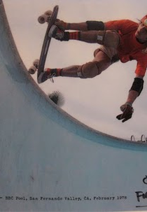 Skateboard kings  (Skateboard kings )