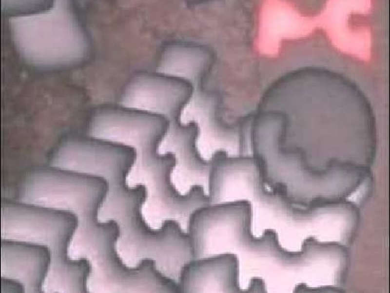 Foto 1 de Embrio No. M