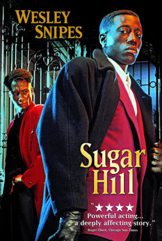 Poster 1 de Filme Inferno Branco (1993)