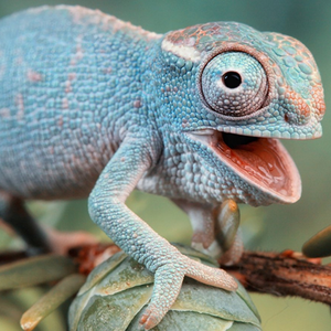 Foto de perfil de Andrew Freitas