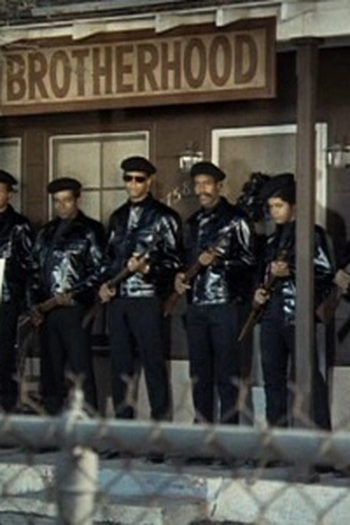 Poster de Episódio Log 76: Militants (1971)