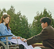 13회