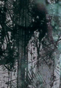 Surfacing (Surfacing)