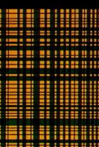 Poster 1 de Curta Enigma (1972)