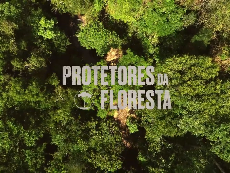 Foto 1 de Protetores da Floresta
