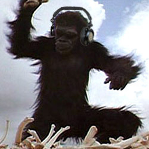 Foto de perfil de Tiago Martins