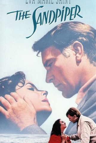 Poster 5 de Filme Adeus às Ilusões (1965)