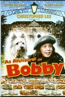 As Aventuras de Bobby - Poster / Capa / Cartaz - Oficial 1