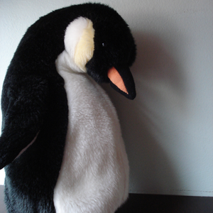 Foto de perfil de Pin