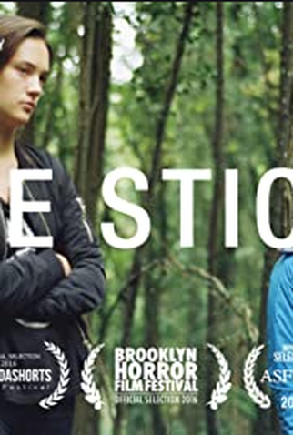 Poster 1 de Curta Mirrors (2014)