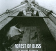Forest of Bliss