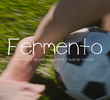 Fermento