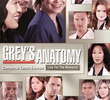 A Anatomia de Grey (10ª Temporada)