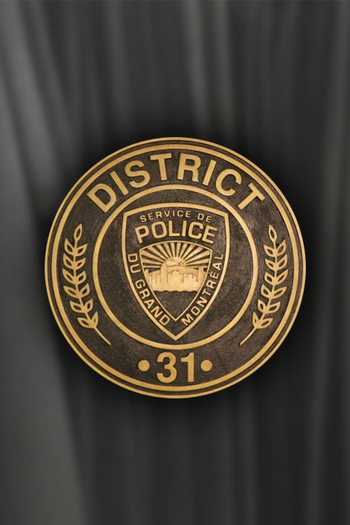 Poster de Franquia District 31 (2016)