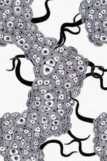 Fantastic Cell (Fantastic Cell)