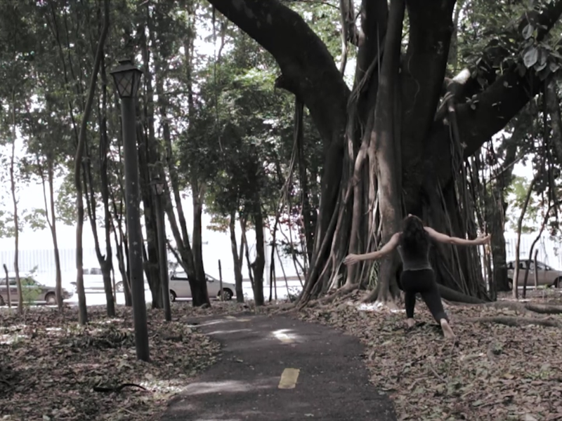 Foto 3 de Corpo Avulso