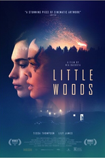 Passando dos Limites (Little Woods)