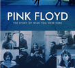 Pink Floyd: The Story of Wish You Were Here