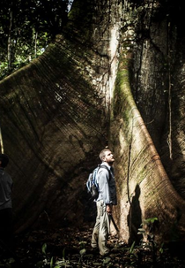 Amazonas Clandestino (Amazonas Clandestino)