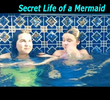Secret Life of a Mermaid terceira temporada