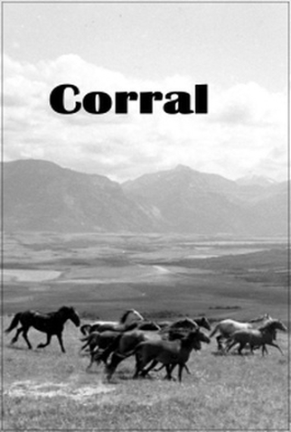 Poster 2 de Curta Corral (1954)
