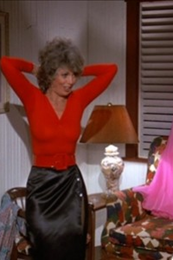 Poster de Episódio The Stripper / The Boxer (1979)