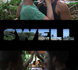 Swell (1ª Temporada)