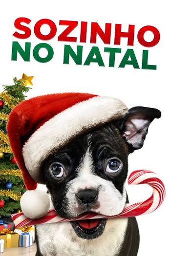  de Filme Sozinho No Natal (2013)