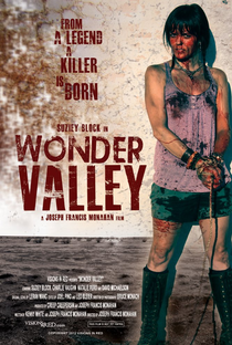 Wonder Valley - Poster / Capa / Cartaz - Oficial 1
