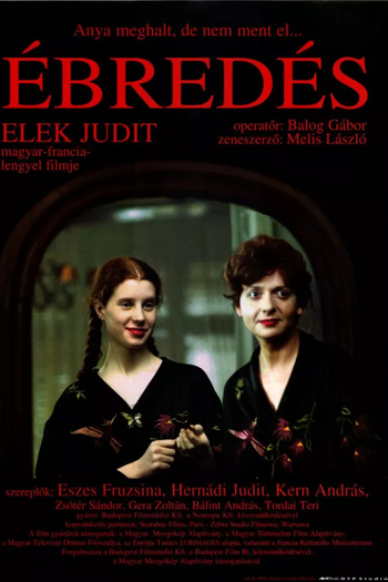 Poster de Filme Despertar (1994)