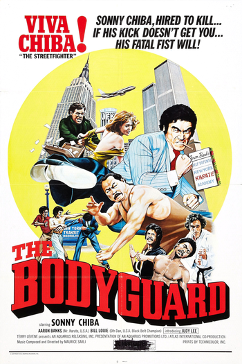 Poster de Filme O Guarda-Costas (1973)