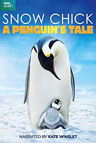 Poster 1 de Filme Snow Chick: A Penguin's Tale (2015)