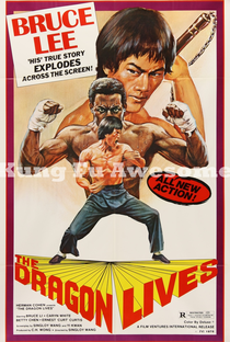 Bruce Lee: O Homem e o Mito - Poster / Capa / Cartaz - Oficial 5