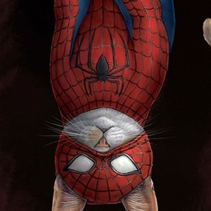 Foto de perfil de Mateus