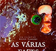As Várias Faces