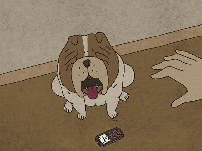 Foto 3 de Vida de Cão